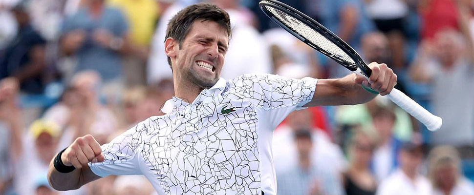 Novak Djokovic has what it takes to being once again the number 1 in world tennis