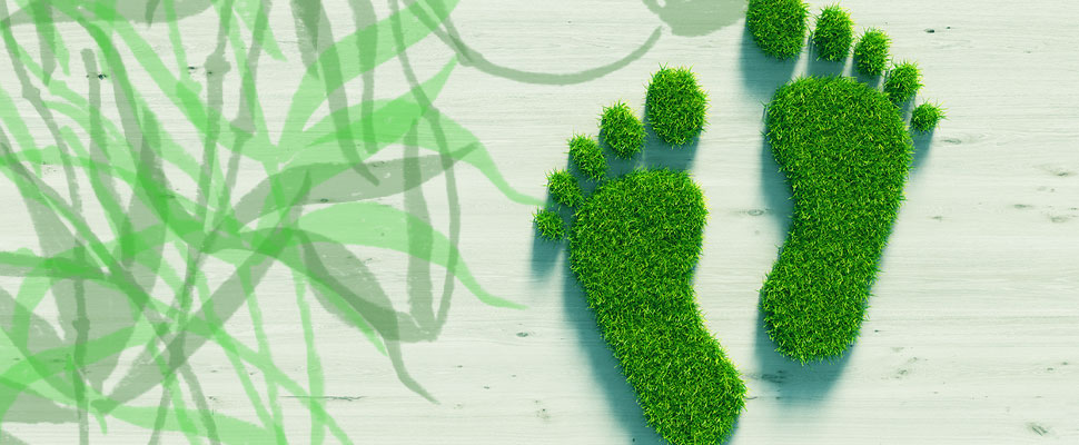 Everything You Need To Know About The Ecological Footprint