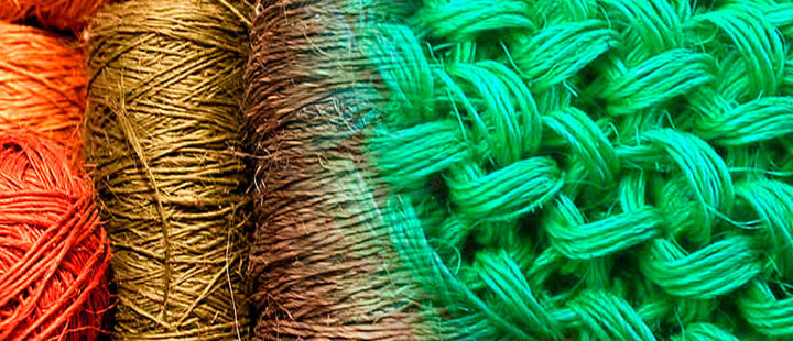 ¡No more plastic! Fique could be the solution ¡No more plastic! Fique could be the solution