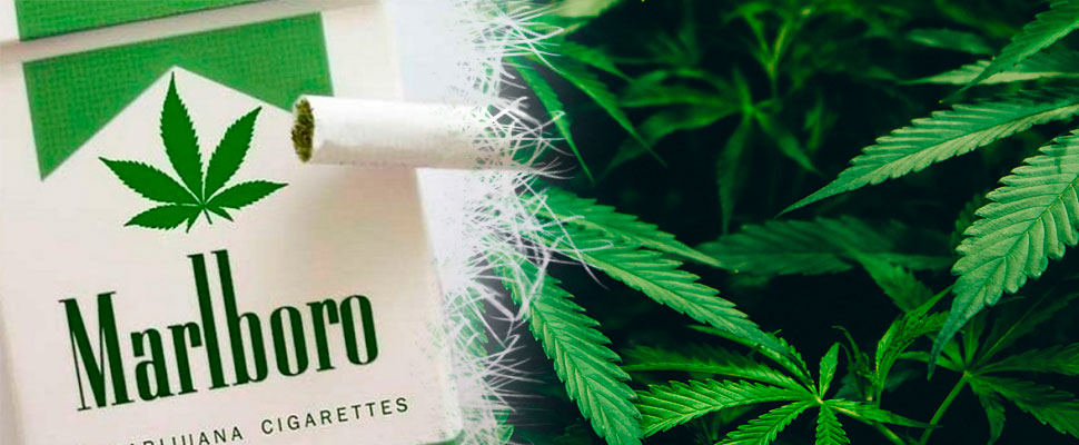 Malboro: Cigarettes and cannabis?