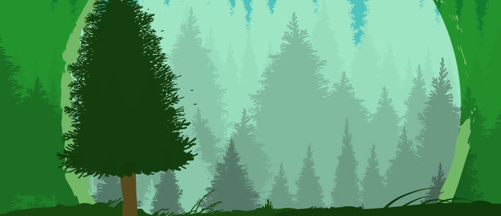 International Day of Forests: Why are they important? International Day of Forests: Why are they important?