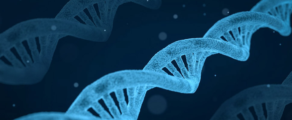 The Science of Epigenetics And DNA Home Testing. How Can It Improve One's Life?