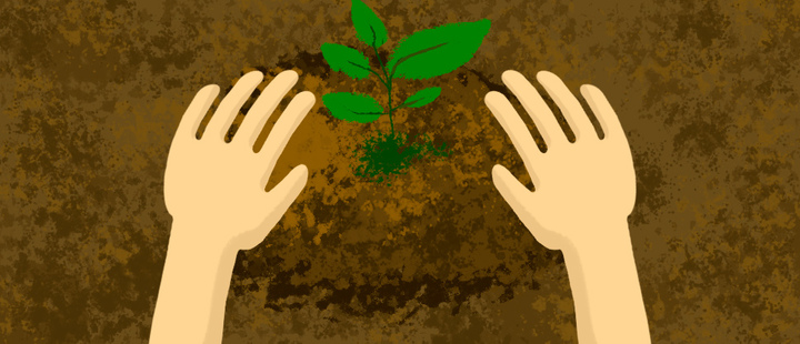 We need more trees: how to plant one? We need more trees: how to plant one?