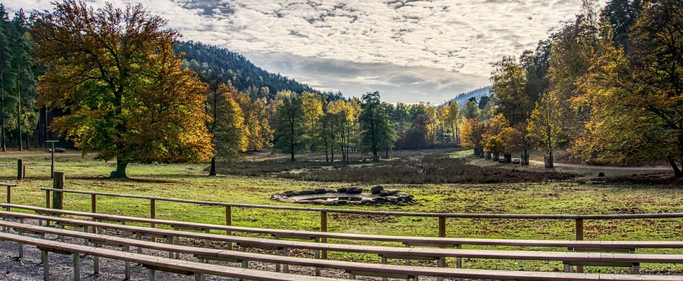 View of a park.