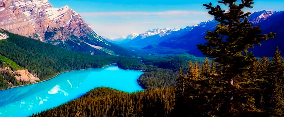 View of Peyto Lake in Canada.