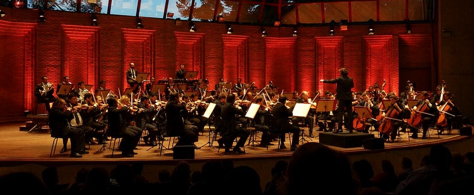 Symphony orchestra during a concert