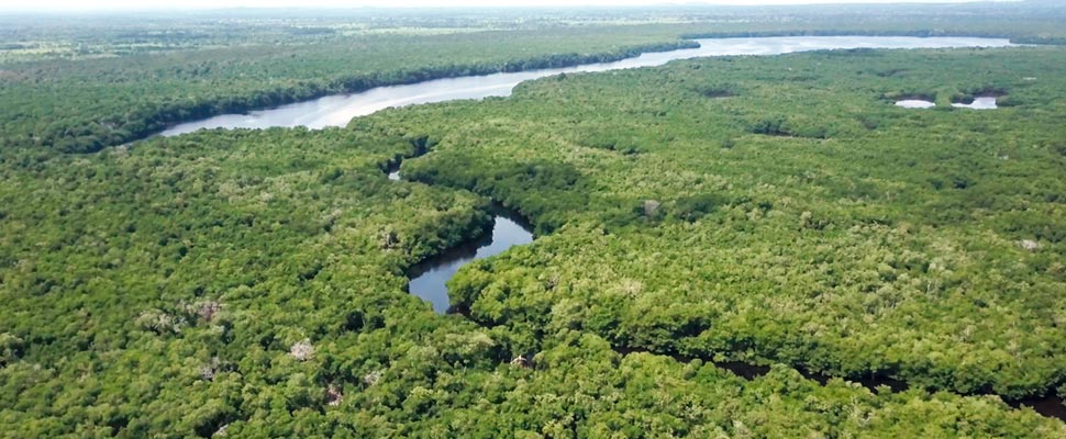 Aerial view of Cispatá in Córdoba.