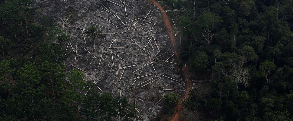 Aerial view of a deforested parcel of the Amazon in the Bom Futuro National Forest, in Porto Velho, Brazil.