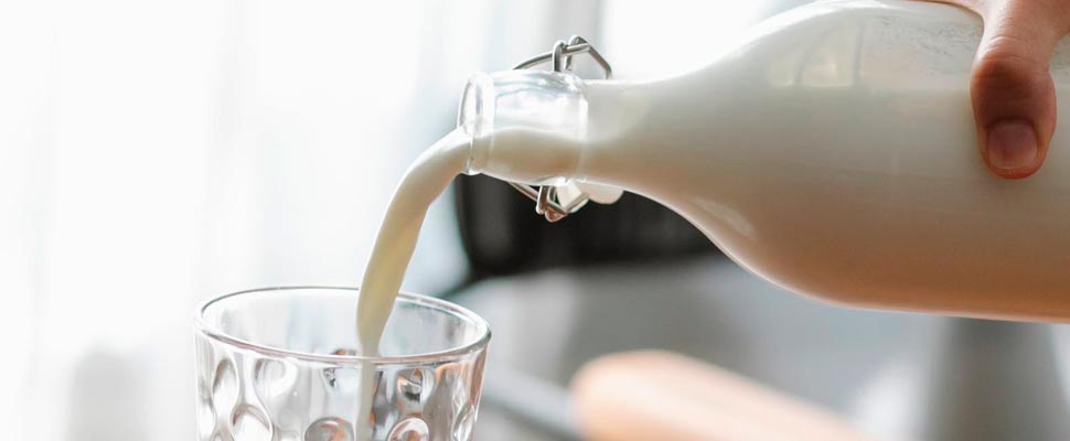 Which Type of Milk Is the Best Among All the Options?