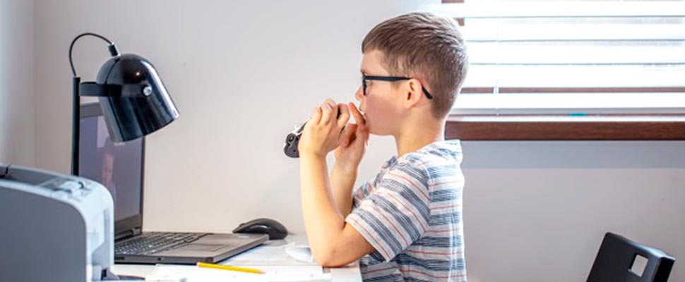 Student boy looking at his computer