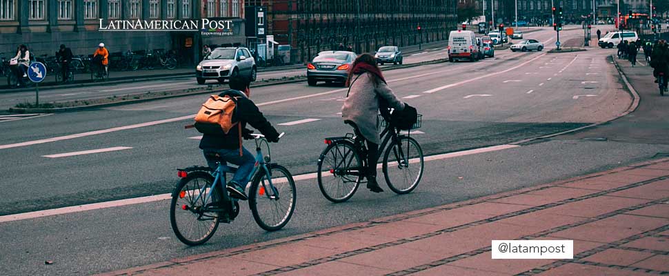 Cyclists on a busy street