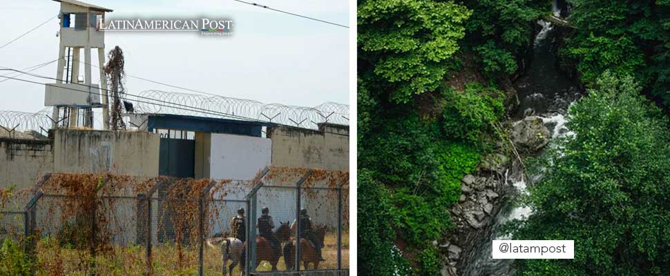 Riot in Ecuador jail and aerial view of a forest