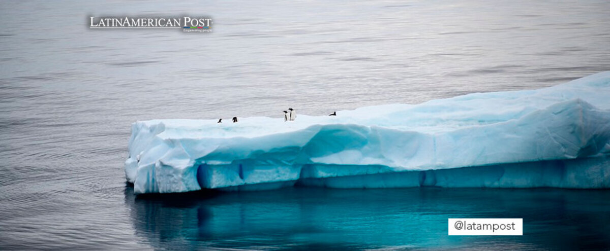 Penguins on a block of ice in Artartida