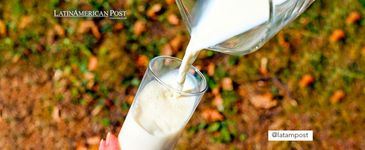 Person serving a glass of milk