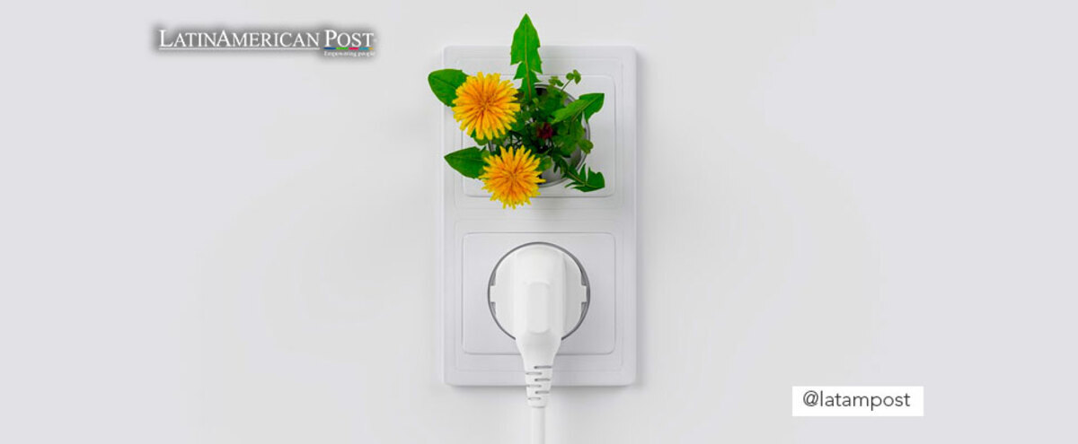 Electricity plug with a plant coming out of it