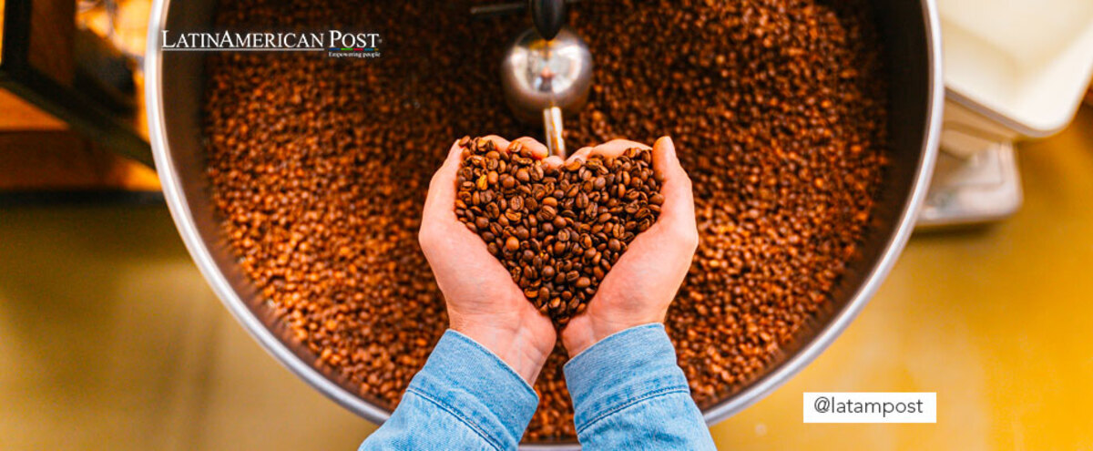 Person holding coffee beans