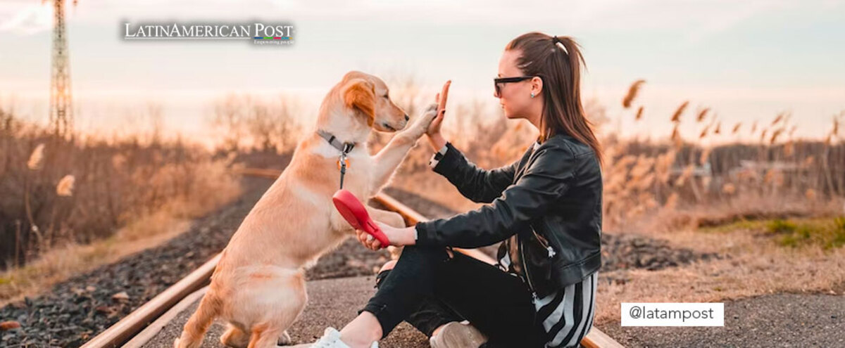 Dog with his mistress