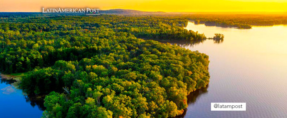 Aerial view of the Amazon