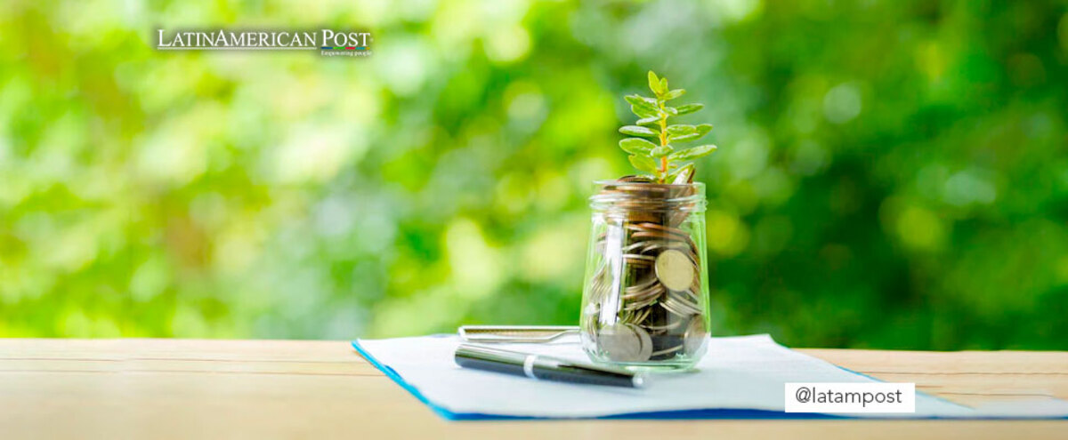 Plant in a glass with coins