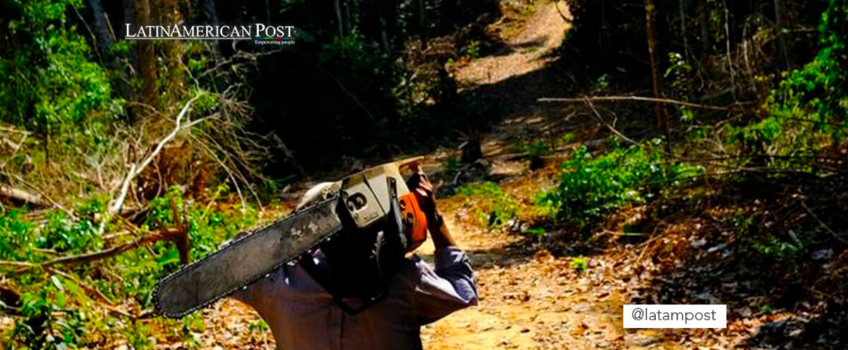 Person with a chainsaw in the Amazon