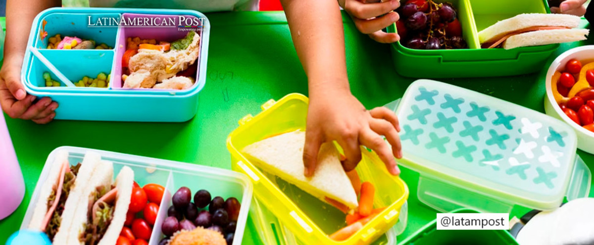 Children eating at school