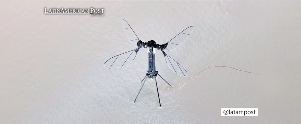 RoboBee