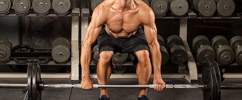 Seven tips for body building