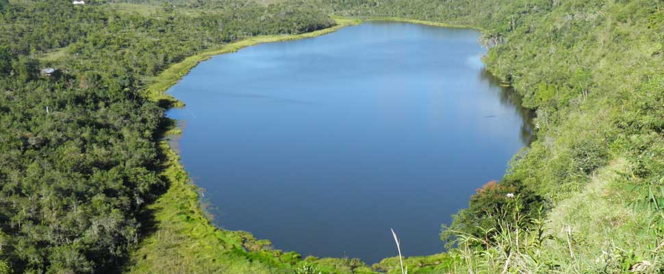 Lakes: agonizing ecosystems