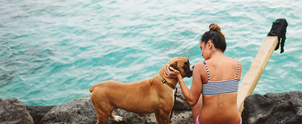 Tips for traveling with your pet: everything you need to know