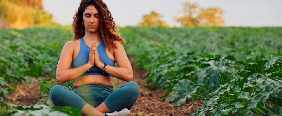 The Connections in Your Body To Make Decisions The Connections in Your Body To Make Decisions