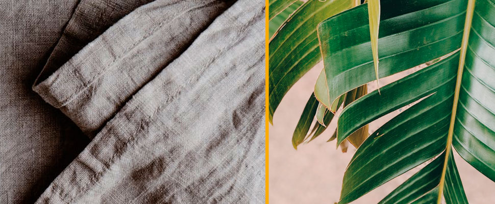 Can We Make Clothes From Food Waste? Can We Make Clothes From Food Waste?