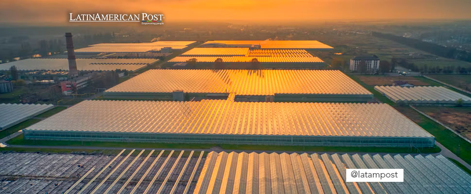 Campo con paneles solares