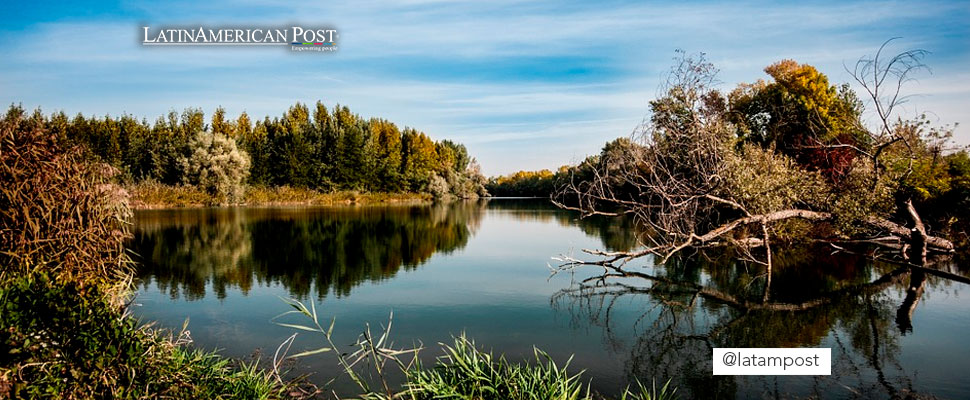 River and trees