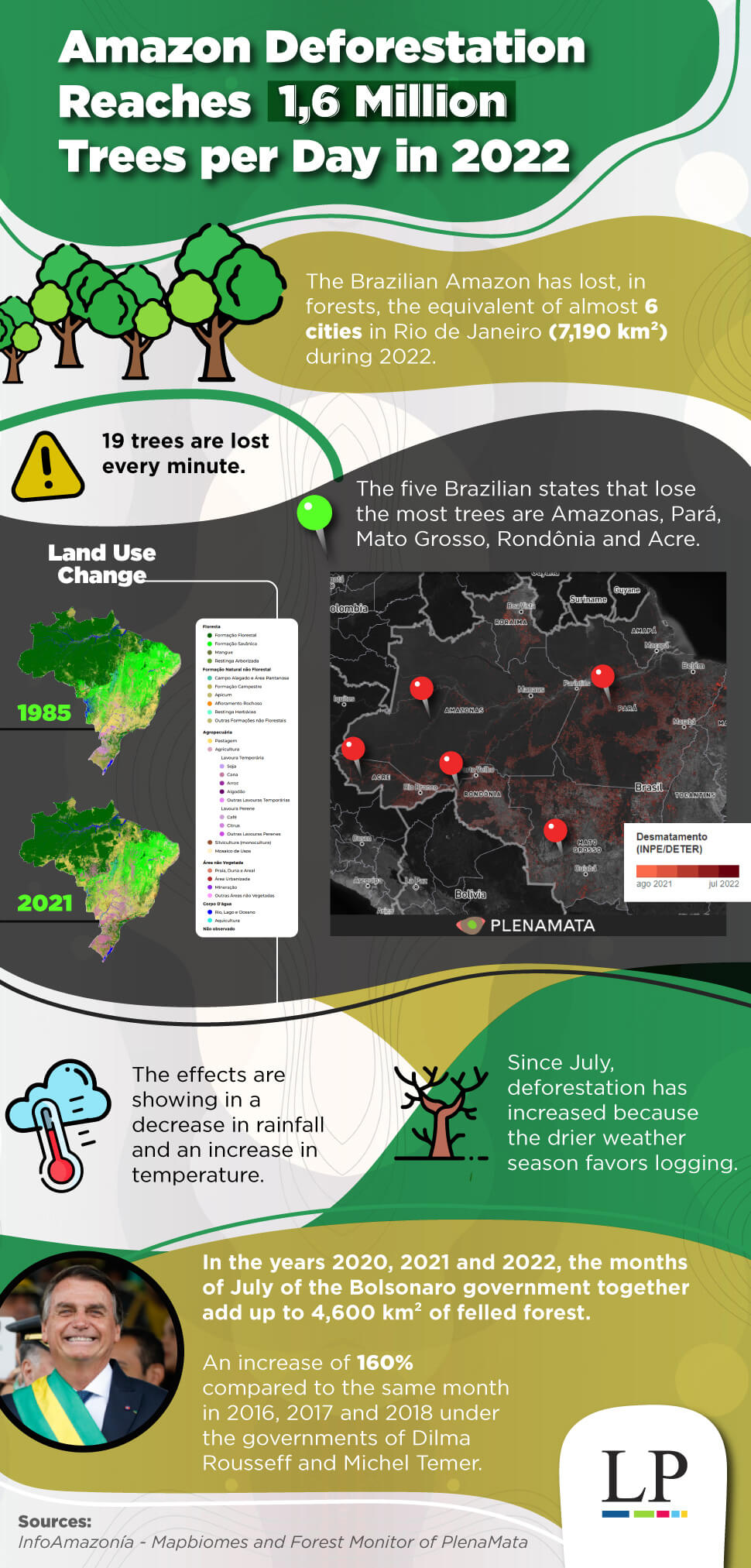 Infographic: Amazon Deforestation Reaches 1.6 Million Trees per Day in 