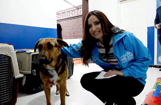 Perros, gatos y habitantes de calle en un mismo albergue