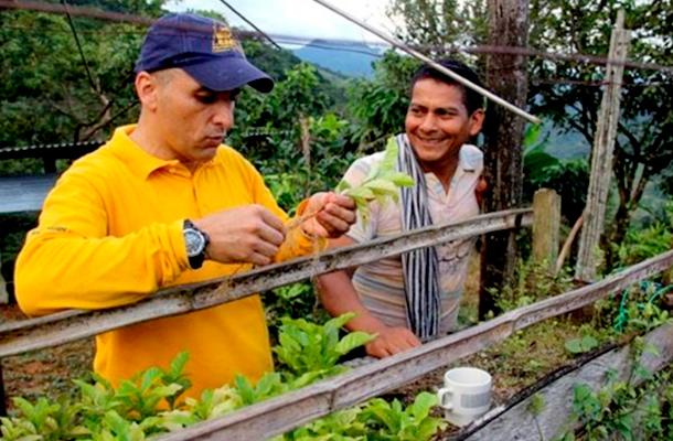 El sur de Colombia puede ser la clave para aumentar la producción de café