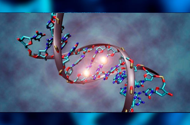 The Science of Epigenetics And DNA Home Testing. How Can It Improve One's Life?