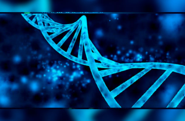 The Science of Epigenetics And DNA Home Testing. How Can It Improve One's Life?