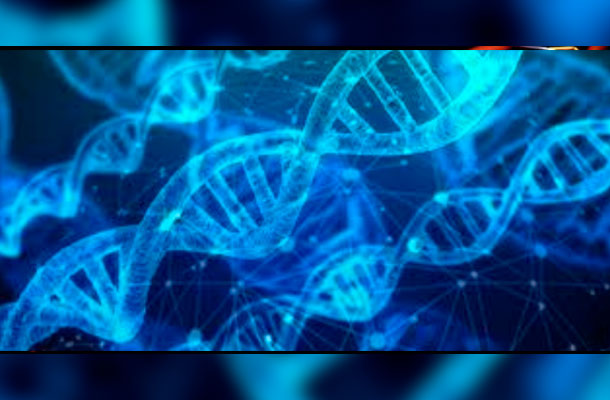 The Science of Epigenetics And DNA Home Testing. How Can It Improve One's Life?