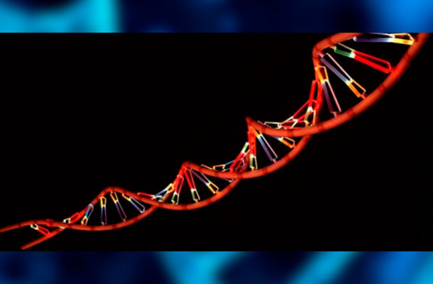 The Science of Epigenetics And DNA Home Testing. How Can It Improve One's Life?