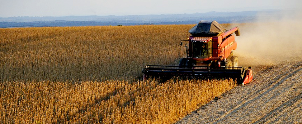 Machine harvesting soybean harvest in Brazil