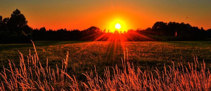 New global temperature data will inform study of climate impacts on health, agriculture New global temperature data will inform study of climate impacts on health, agriculture
